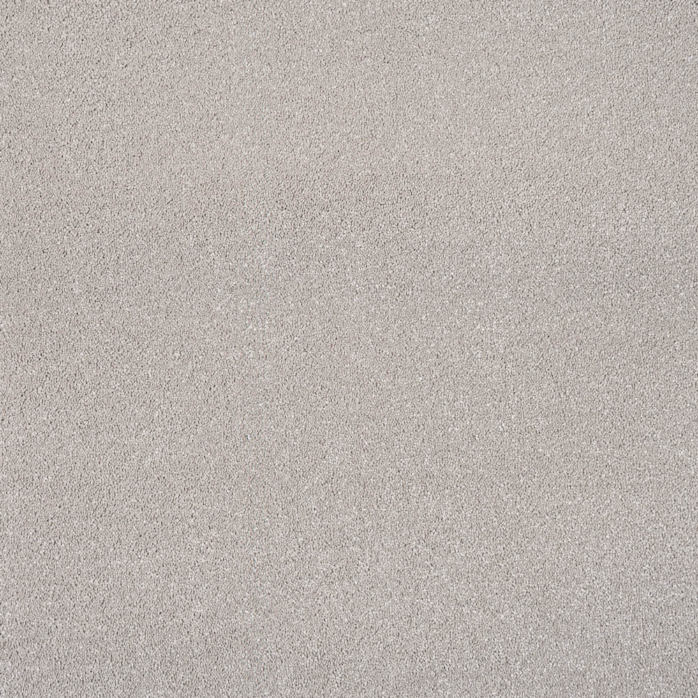 Sensation Carpet-Ammonite - Image 2