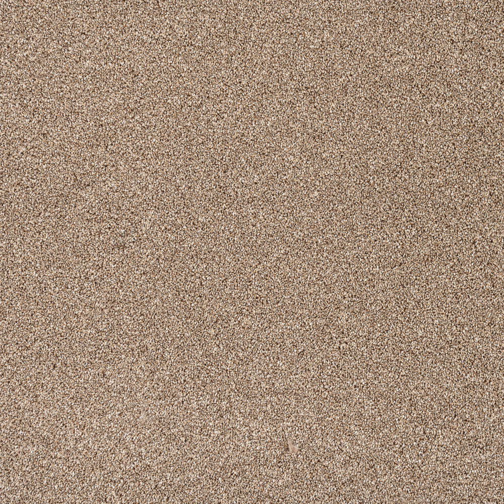 Trinity Carpet-Autumn Trail - Image 2