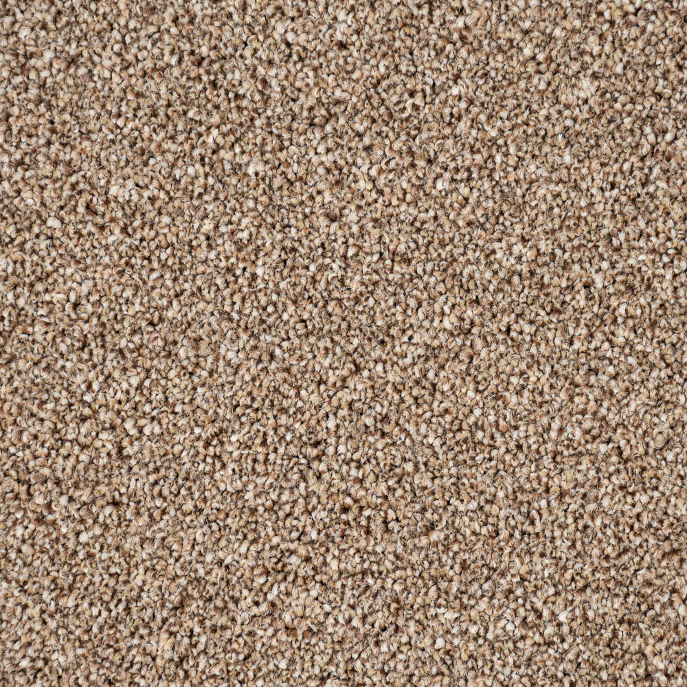 Trinity Carpet-Autumn Trail - Image 3