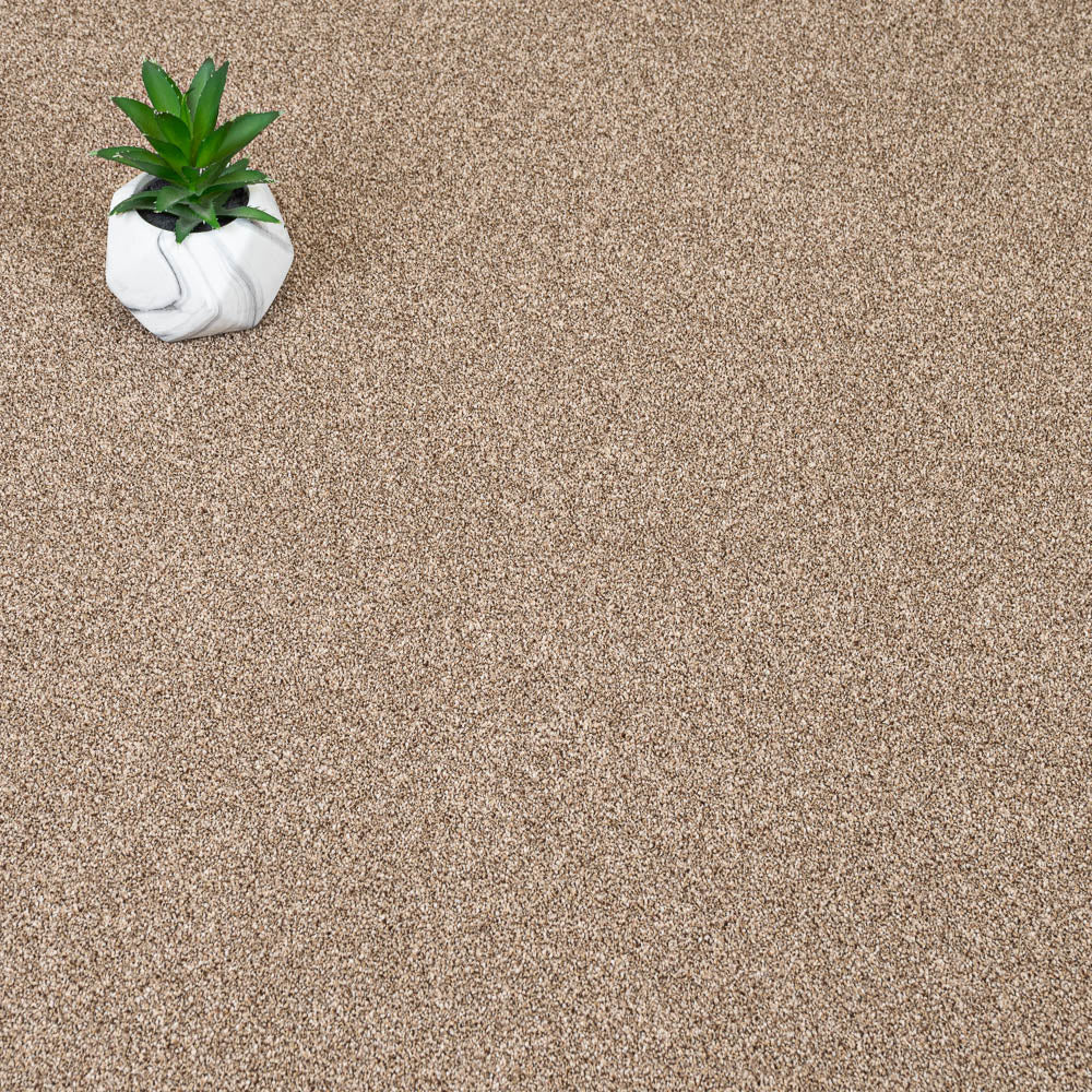 Trinity Carpet-Autumn Trail