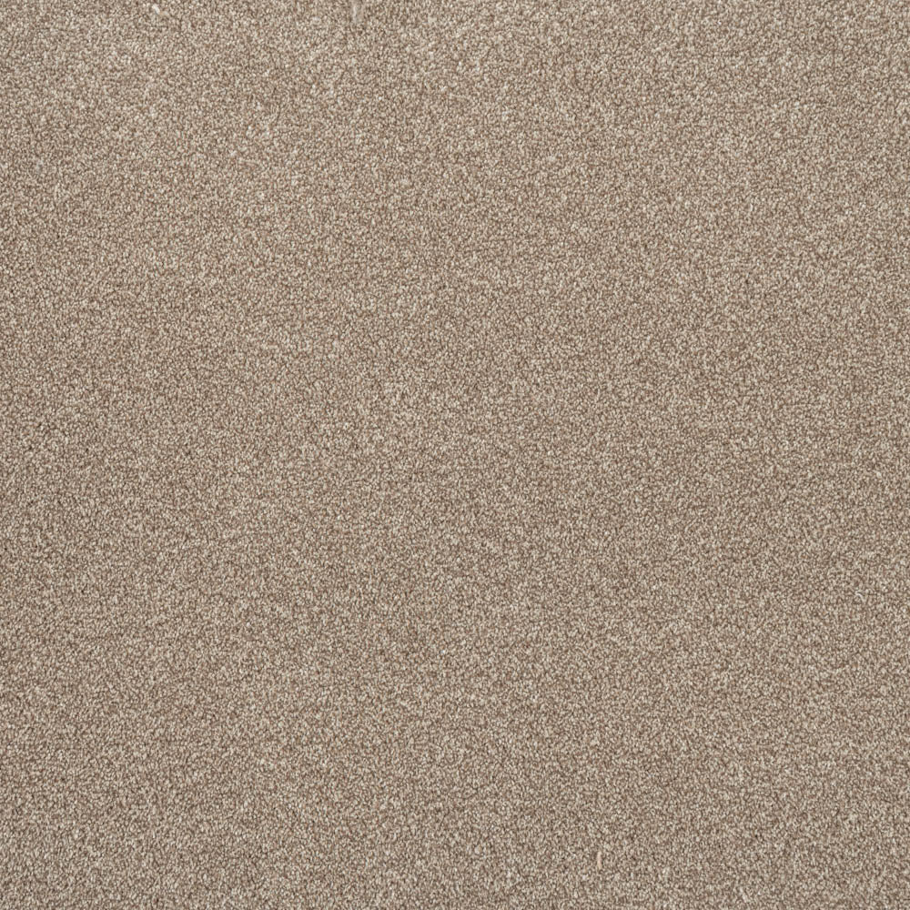 Primo Ultra Carpet-Beaver - Image 3