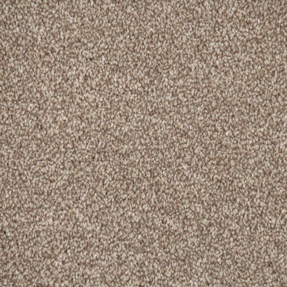 Primo Ultra Carpet-Beaver - Image 4