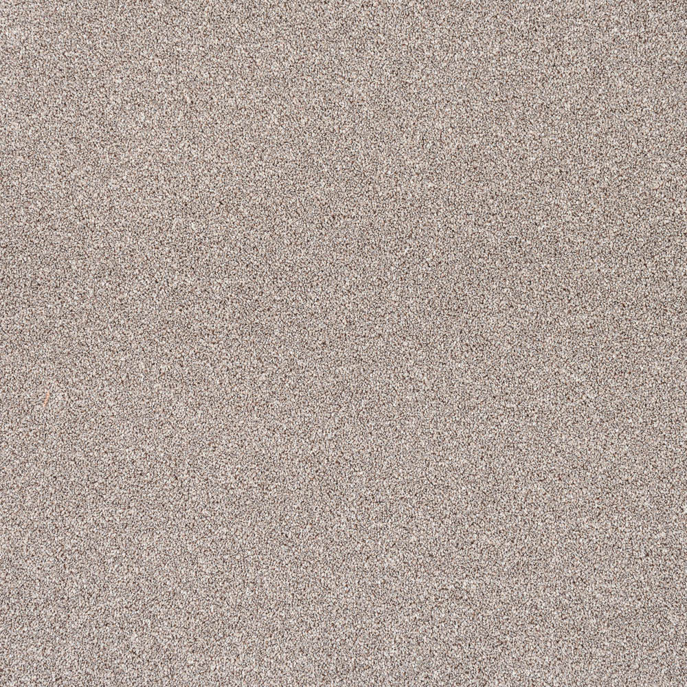 Trinity Carpet-Biscuit - Image 2