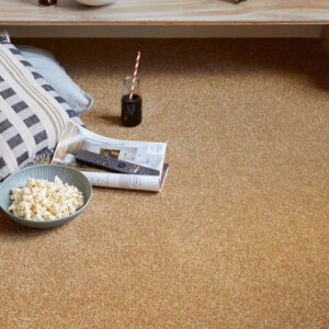 Apollo Plus Carpet-Bumblebee