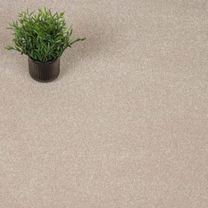 Sensation Carpet-Cambrian Stone