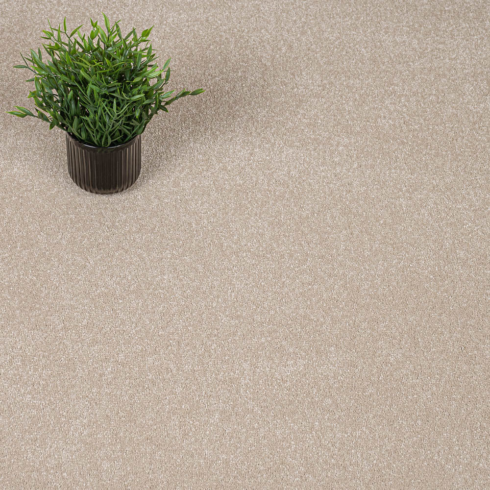 Sensation Carpet-Cambrian Stone