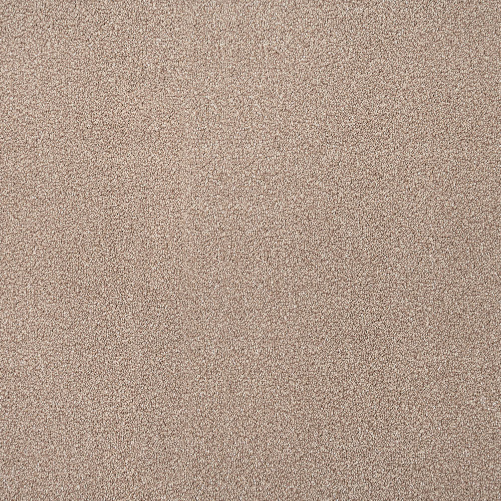 Sensation Heathers Carpet-Dunmore Creek - Image 2