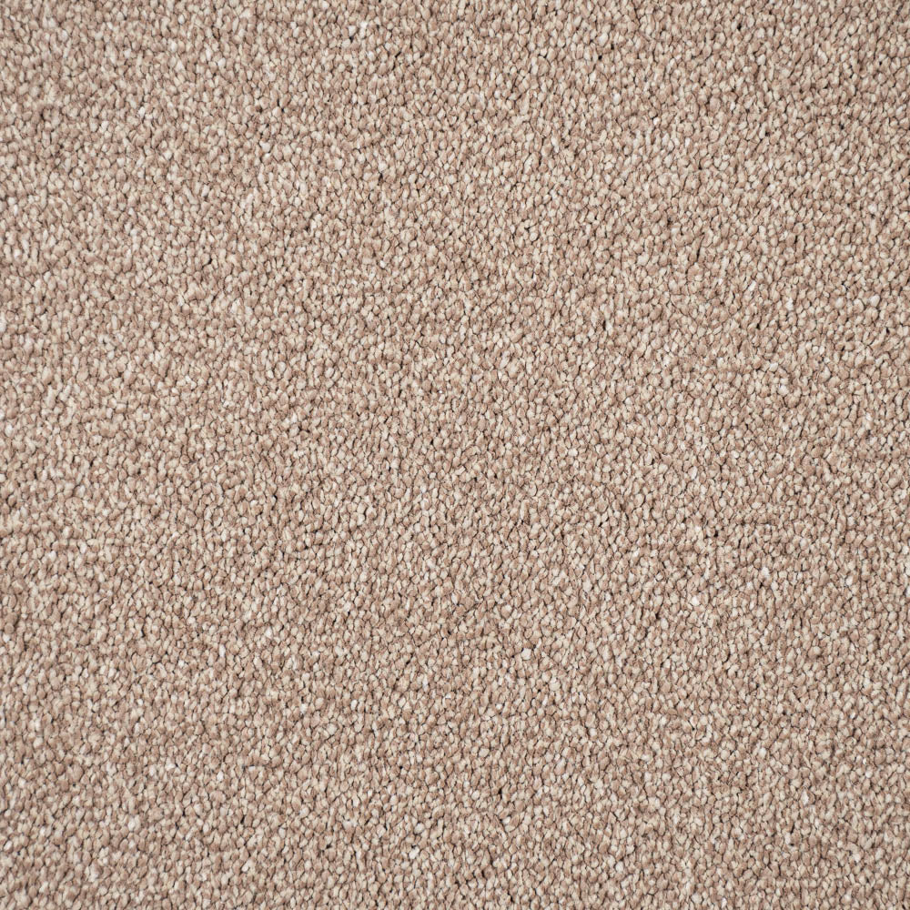 Sensation Heathers Carpet-Dunmore Creek - Image 3
