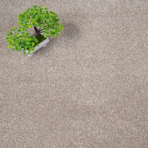 Inglewood Saxony Ganache