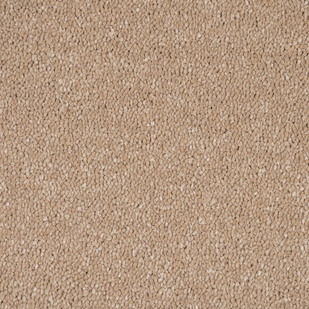 Sensation Carpet-Gazelle - Image 3