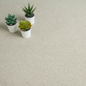 Linwood Carpet-Irish Linen