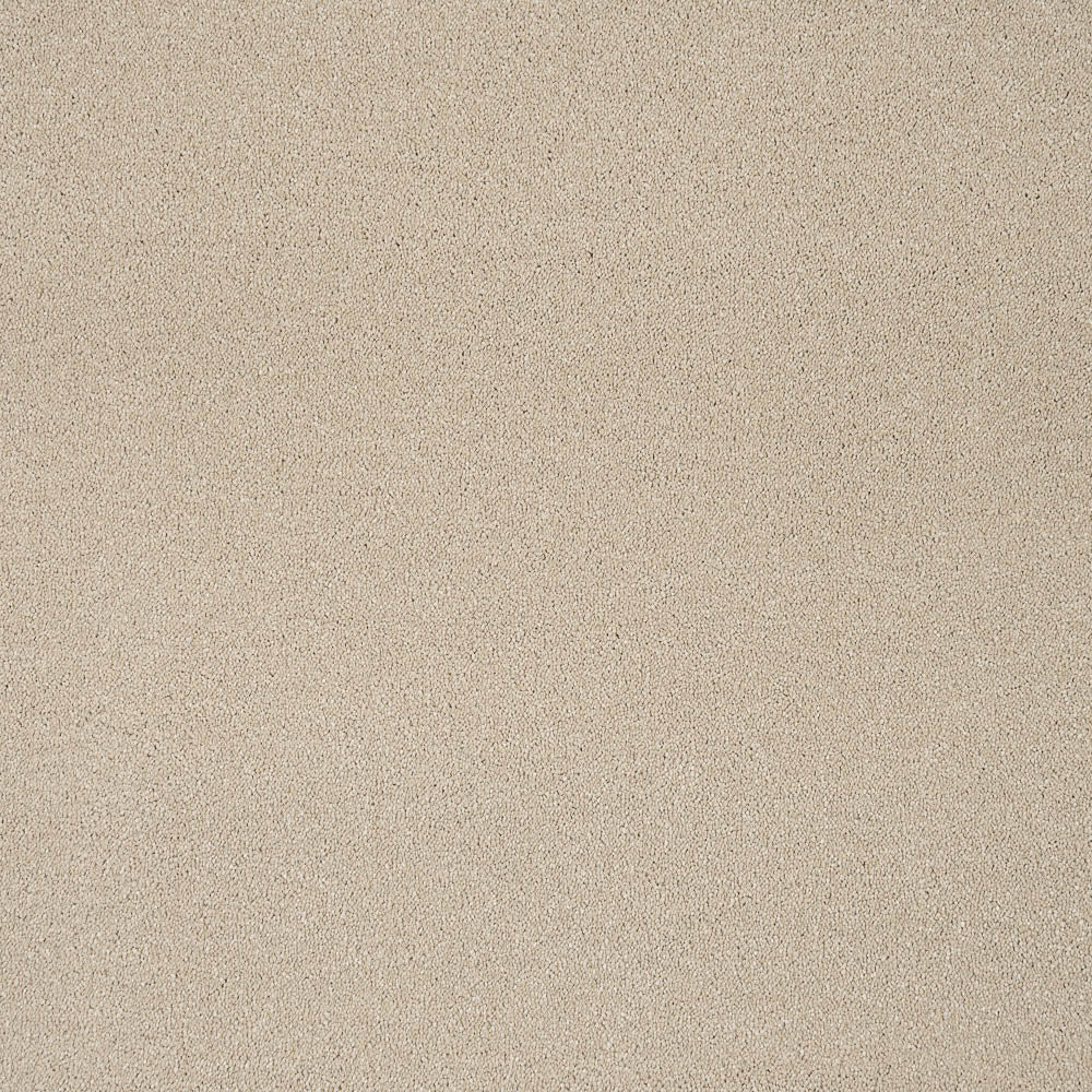 Sensation Carpet-Laguna - Image 2
