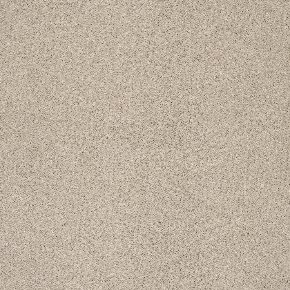 Sensation Carpet-Latte - Image 3