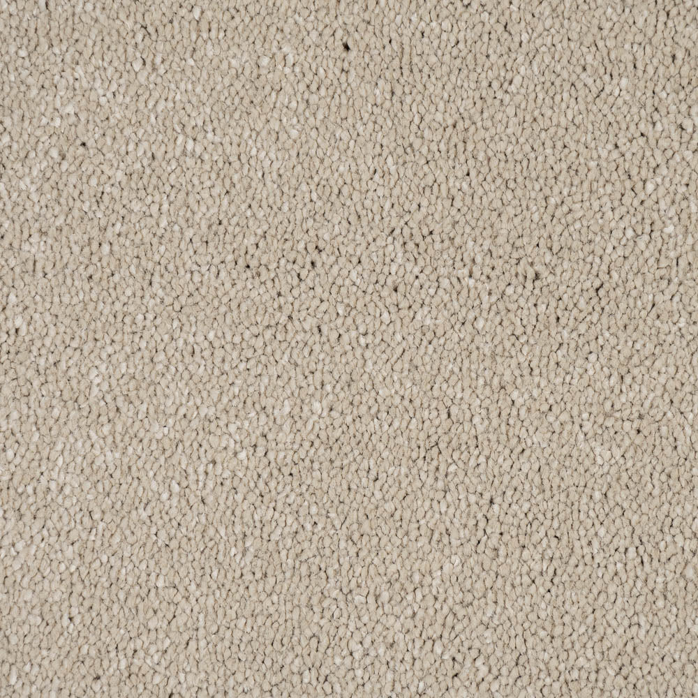 Sensation Carpet-Latte - Image 4