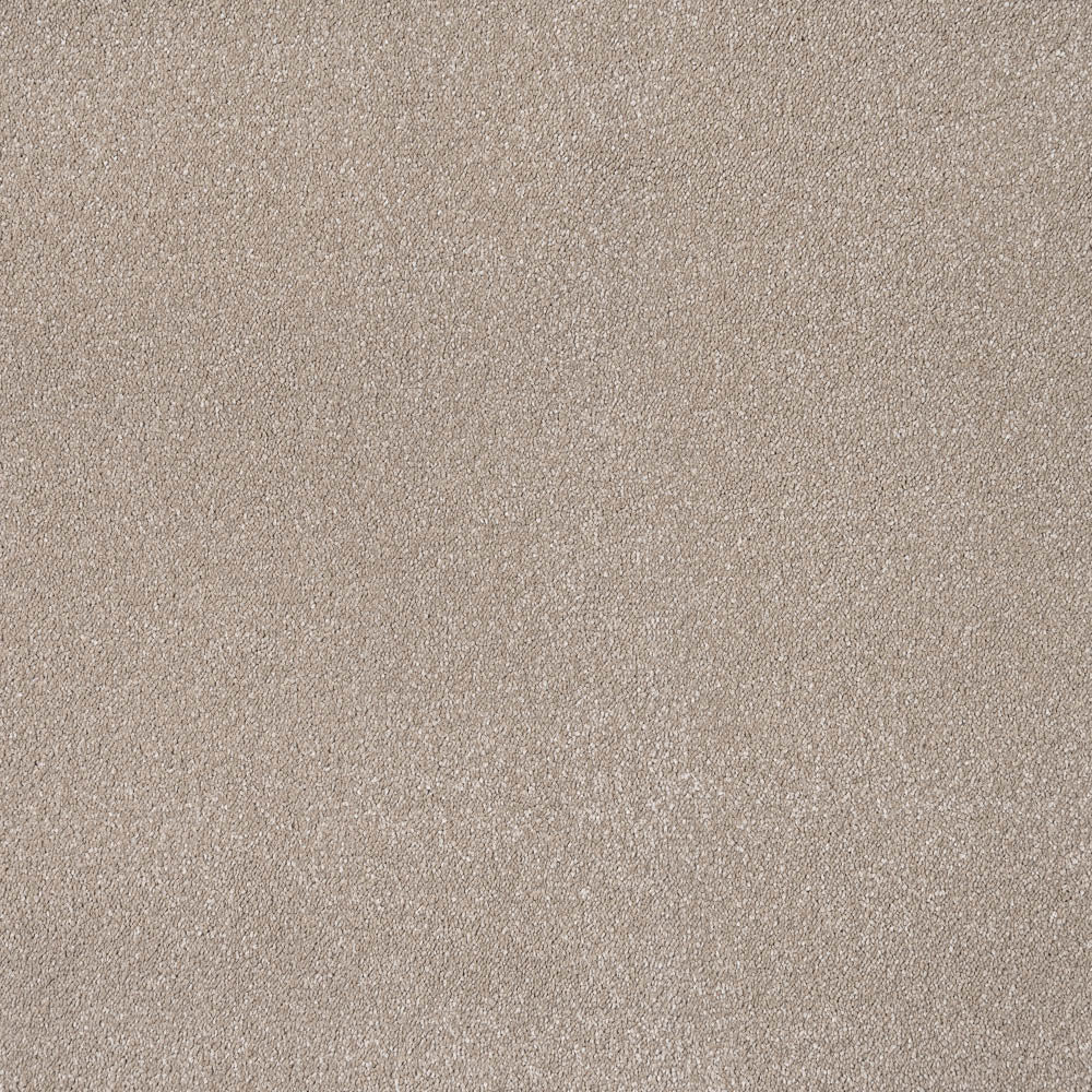 Sensation Carpet-Light Taupe - Image 2