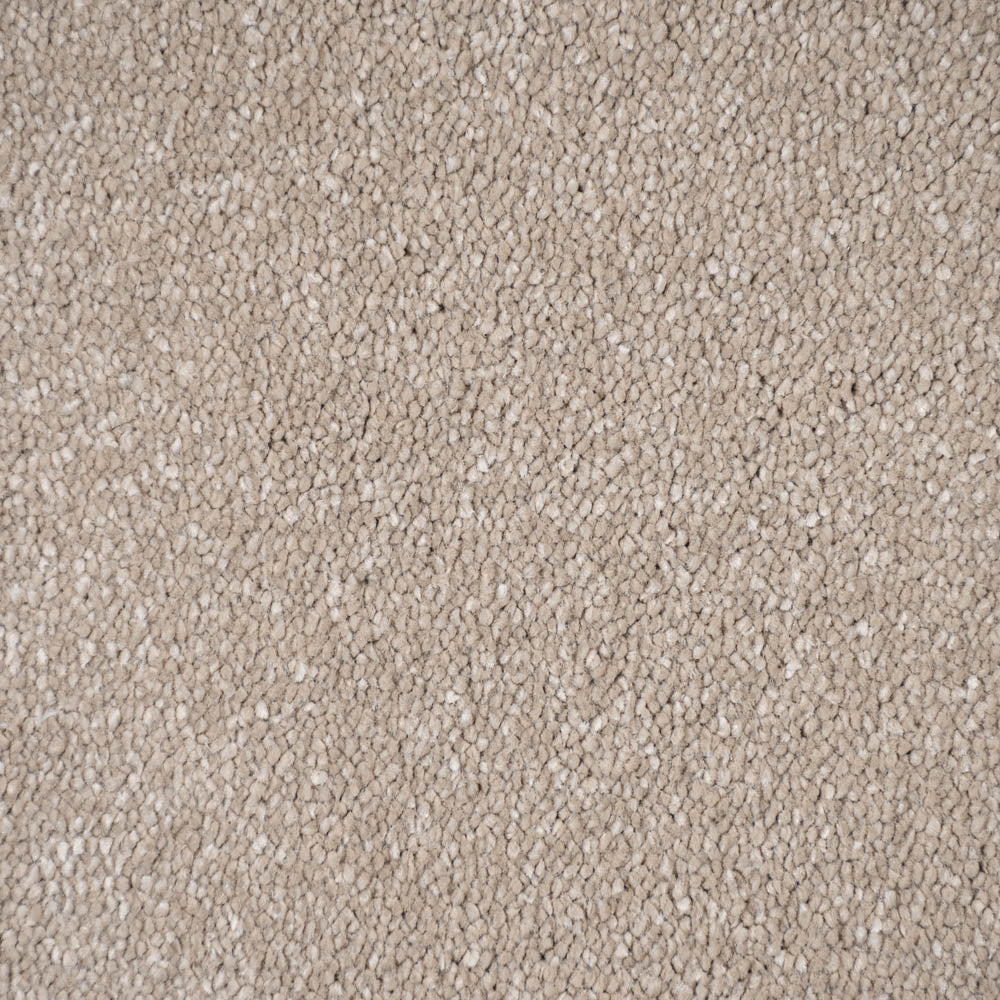 Sensation Carpet-Light Taupe - Image 3