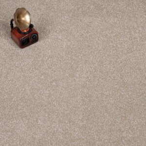 Sensation Carpet-Light Taupe