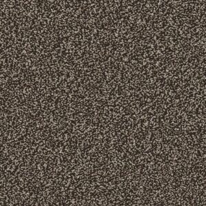 Linwood Carpet-Clove