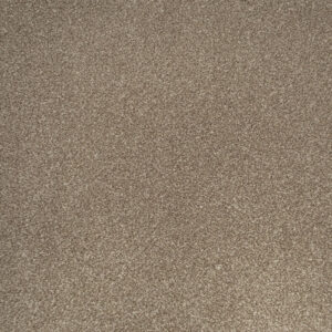 Apollo Plus Carpet-Manhattan Taupe