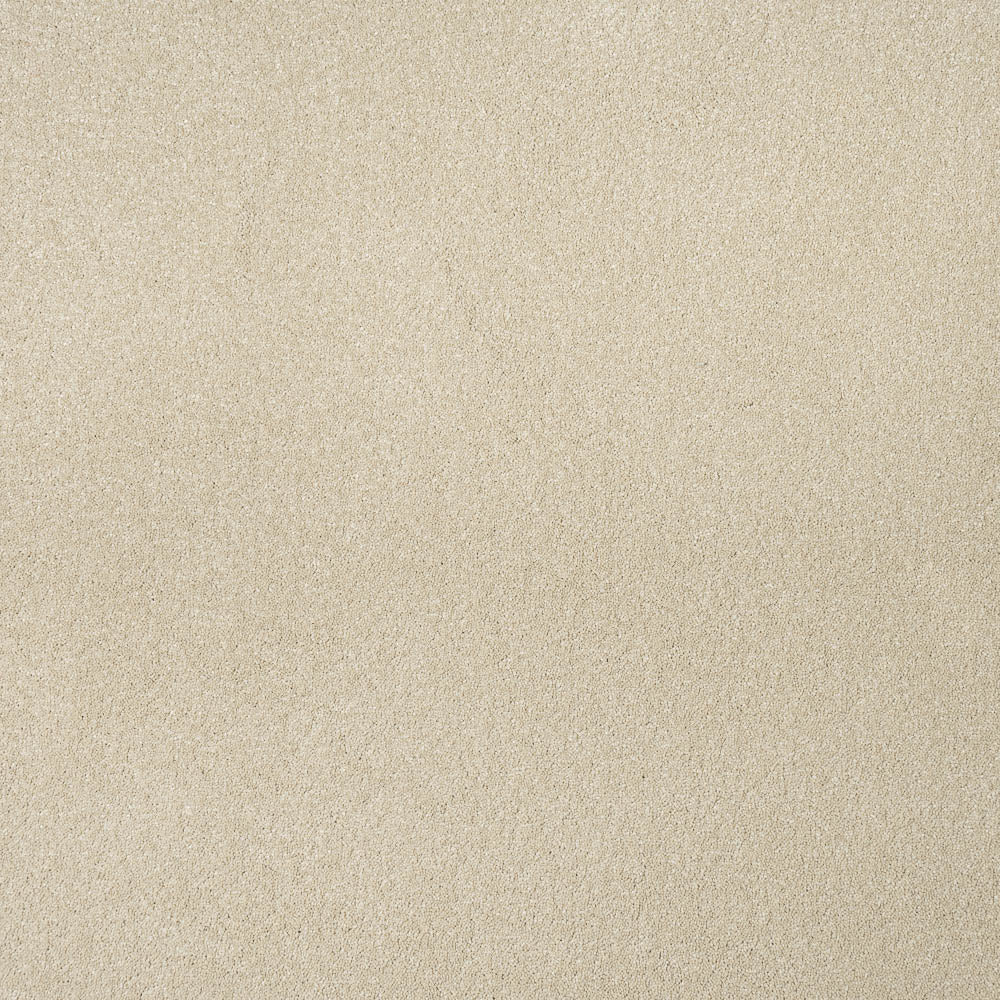Zenith Carpet-Palomino Gold - Image 2