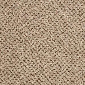 Primo Tweeds Westwood Beige