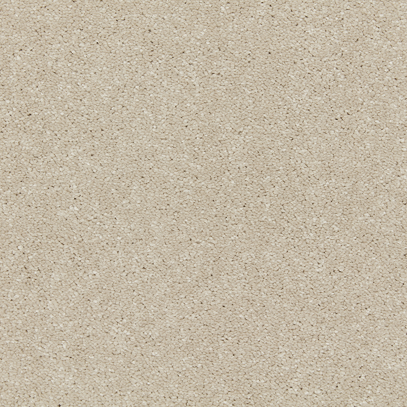 Riva Aniseed