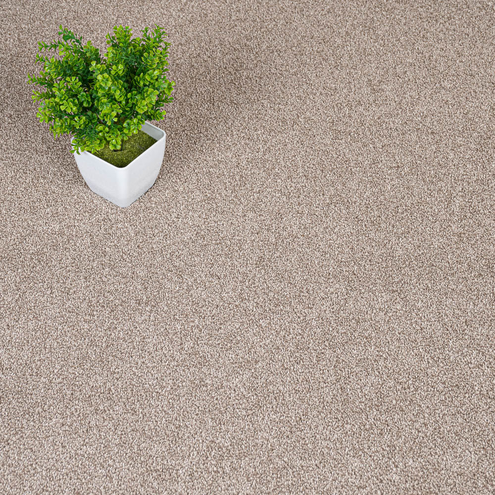 Sensation Heathers Carpet-Sable