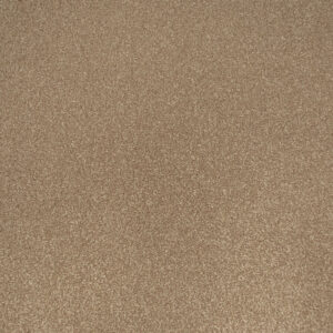 Apollo Plus Carpet-Stepping Stone