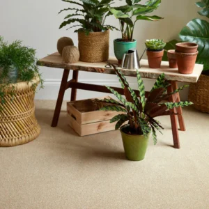 Linwood Summer Carpet-Meadow