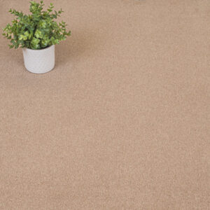 Hampstead Carpet-Toffee