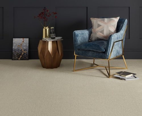 c-inetpub-wwwroot-cormar-carpets-b2c-cms-cormarcarpetsb2c-v8-images-import-image (1)